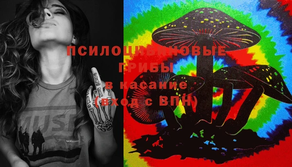 сатива Алзамай