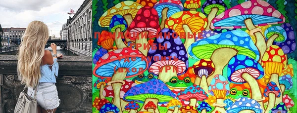 индика Алексеевка