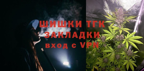 сатива Алзамай