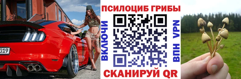 Галлюциногенные грибы Magic Shrooms  как найти закладки  MEGA ссылки  Арамиль 